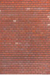 Photo Textures of Wall Bricks